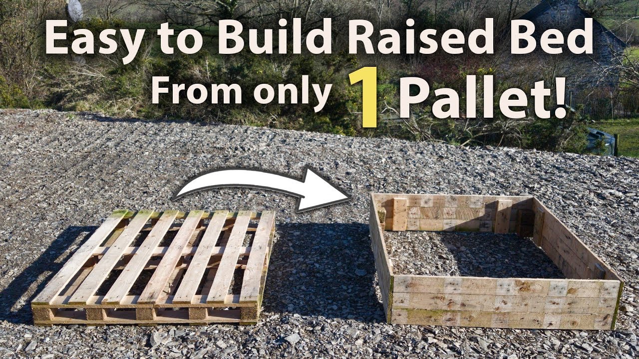 Create a raised bed using 1 pallet!