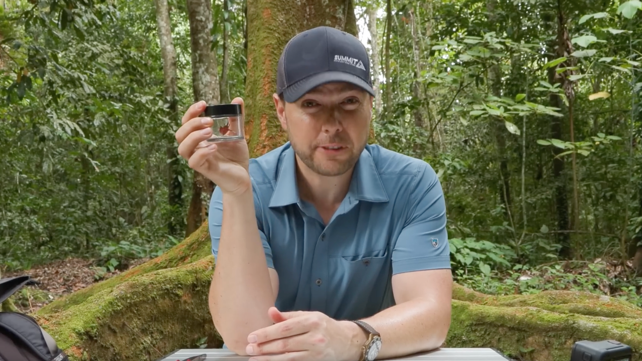 Why an assassin bug bite turned serious
