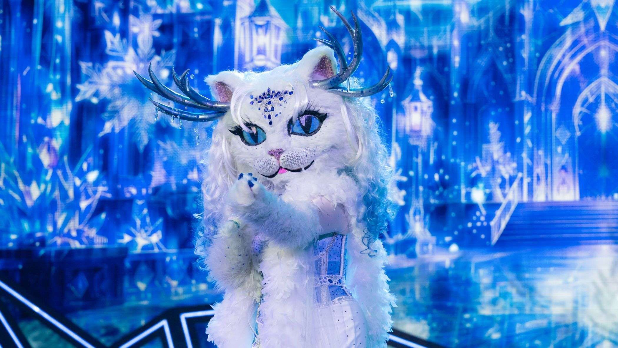 Rise like a phoenix: Yeti Cat sorgt für einen magischen Moment