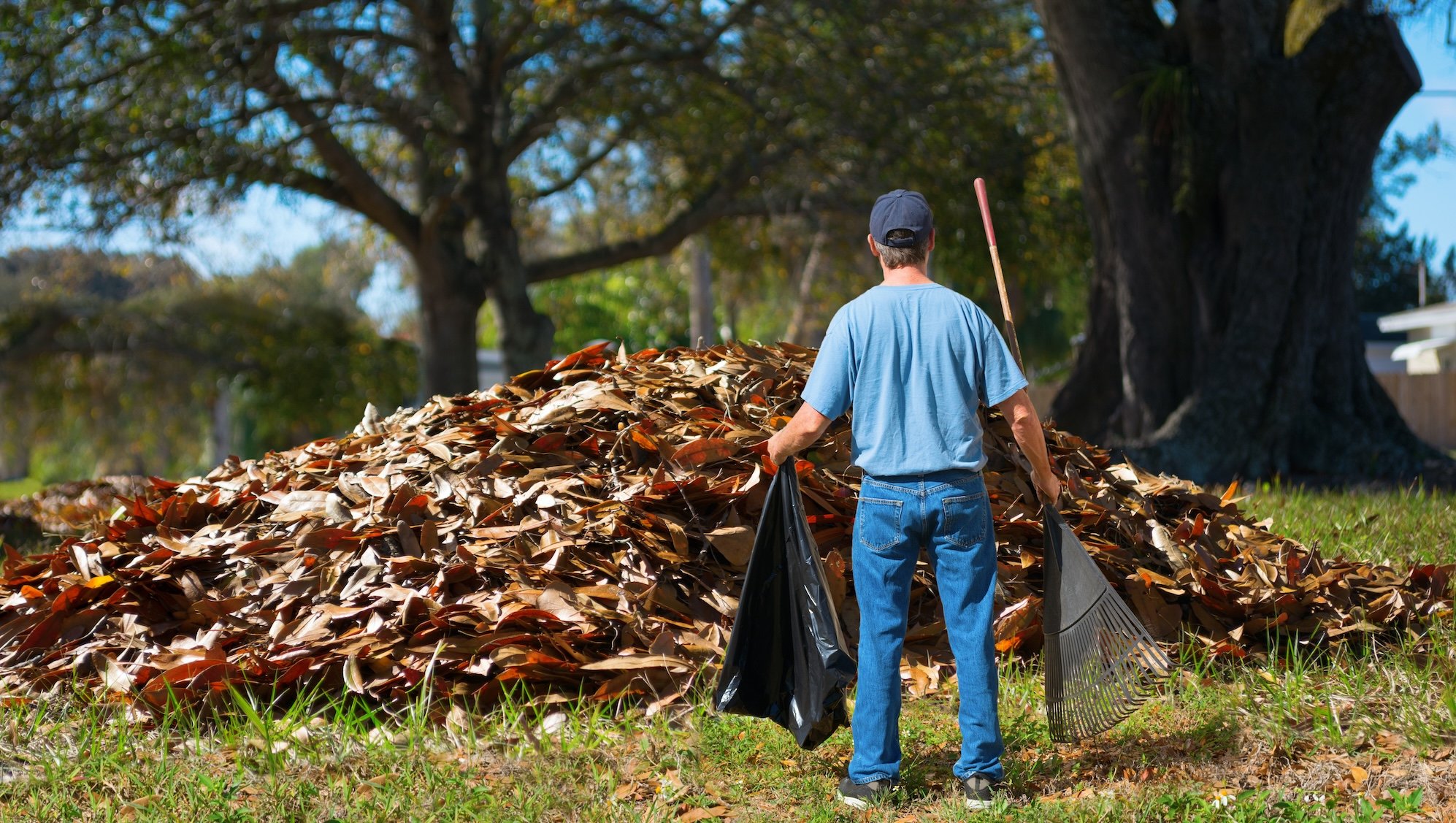 There's a better way to rake the yard—here's what really works