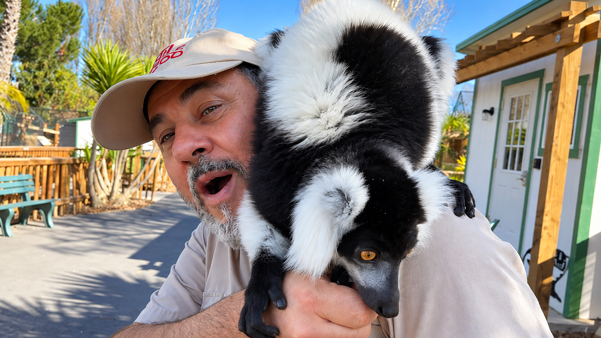 From feisty badgers to giant elephants, this zoo has it all