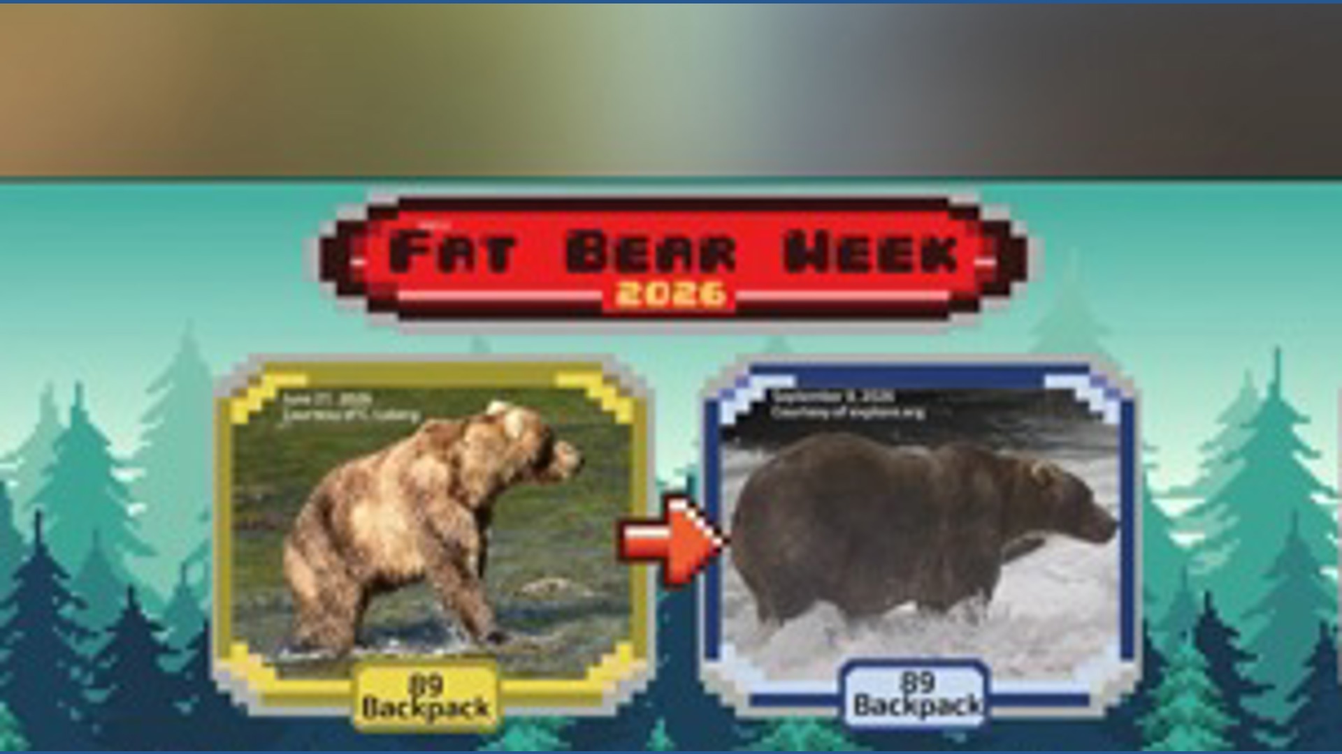 Forget summer bodies: Meet the absolute unit who just won Fat Bear Week!