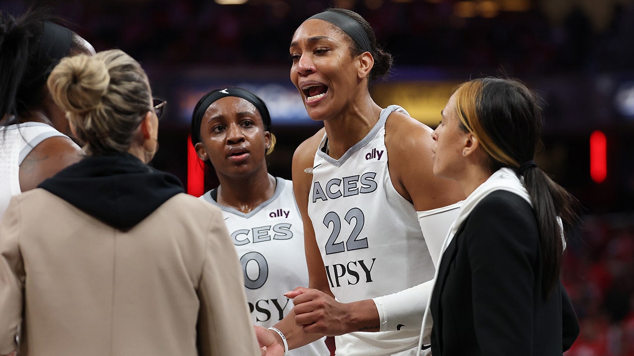 Craig Carton blasts WNBA, A'ja Wilson over fan confrontation: 'This ...