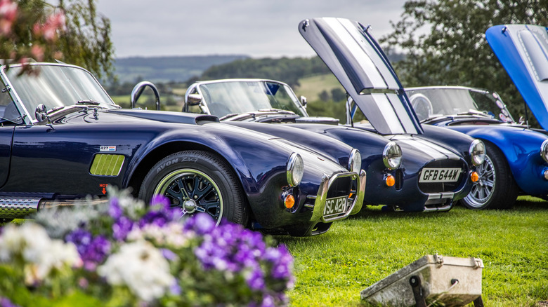 How many Shelby Cobras were made and what's one worth today?