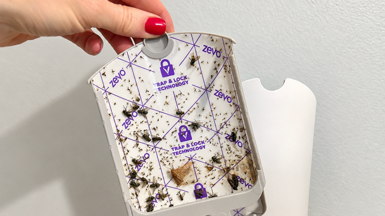 I tested the Zevo fly catcher: Here's how many bugs it caught overnight