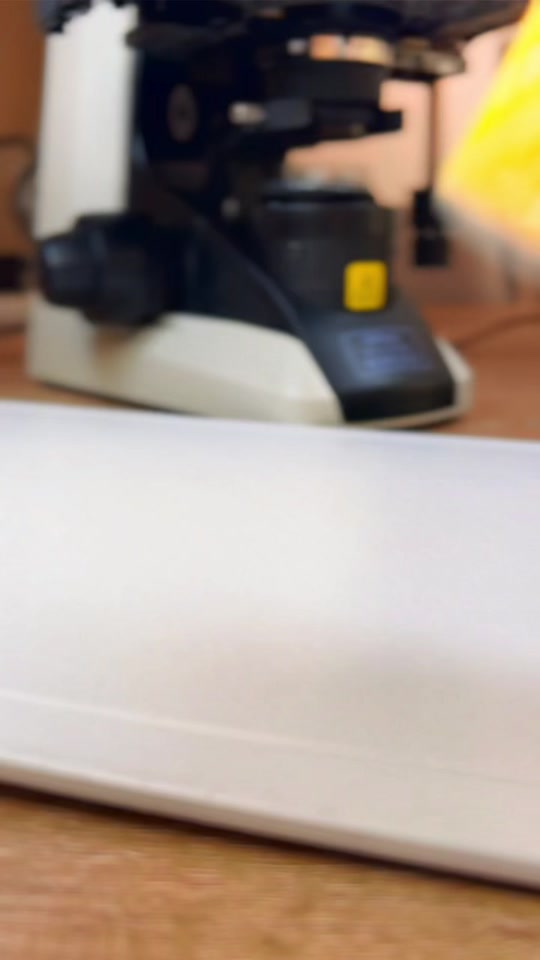 American cheese under the microscope reveals surprising details