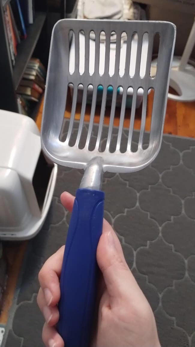 27 Useful Products For Cat Owners Are Worth Every Penny