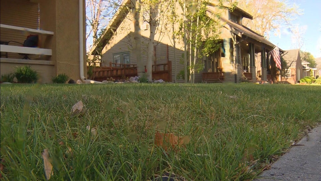 New watering restrictions take effect in Denver and Aurora; expect enforcement and hefty fines