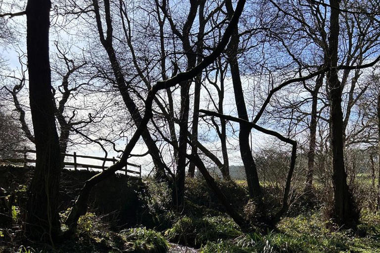 Investigation launched into pollution of Leicestershire river in ...