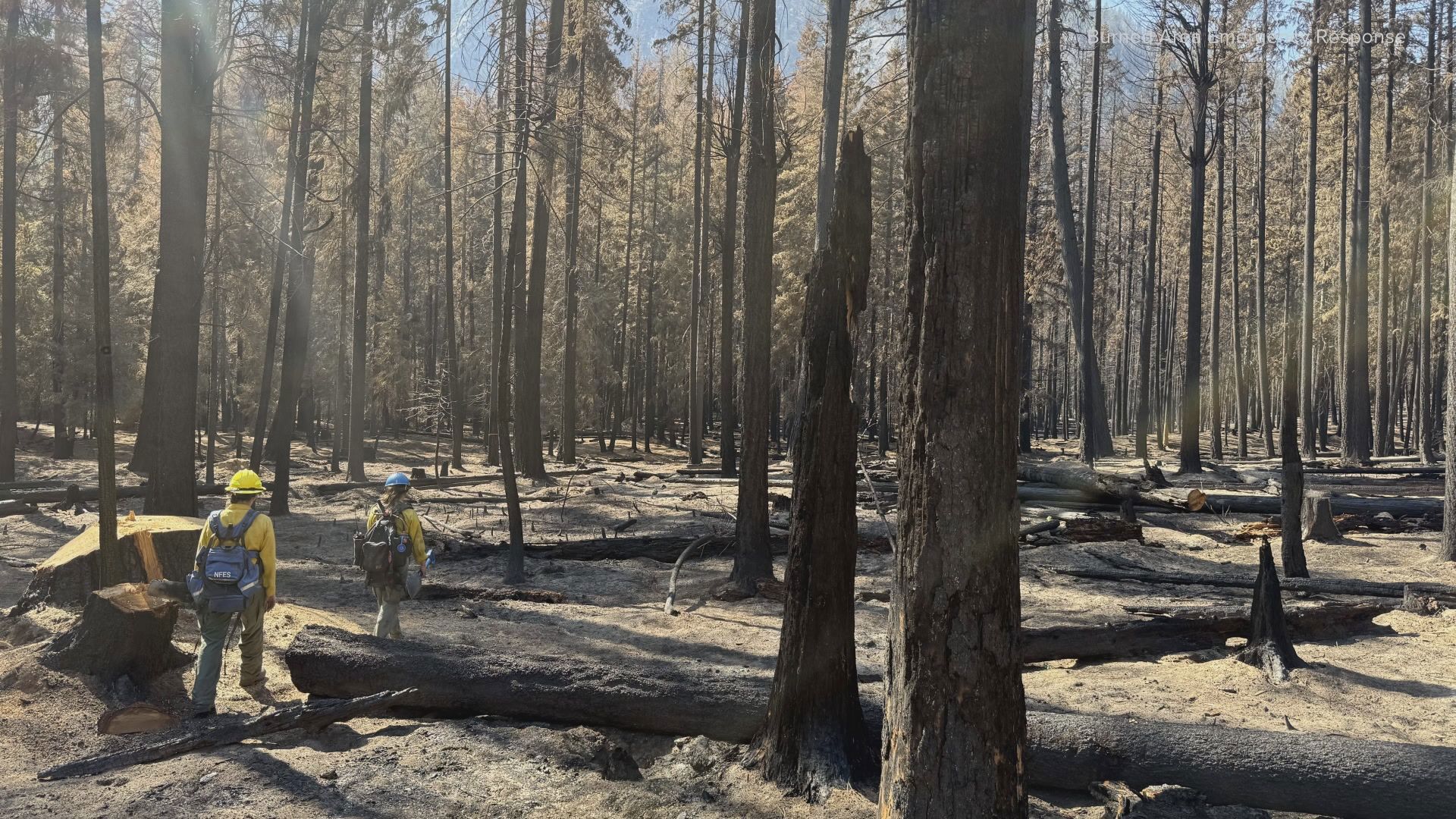 Washington's historic wildfires spark urgent flood risk assessment