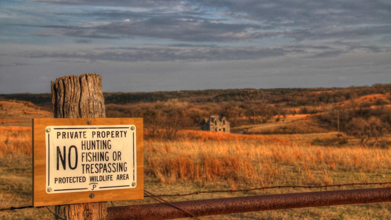 Palantir’s CEO bought 37,000 acres of Swedish forestland and hunting ...