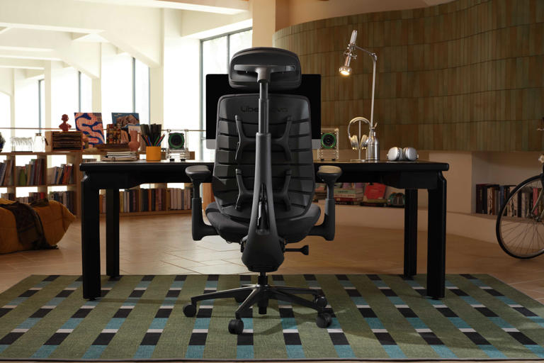 Find the right ergonomic chair during LiberNovo’s fall prime sale