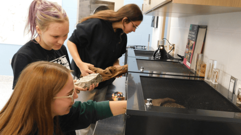 Bridgeport students gain hands-on experience building snake habitats