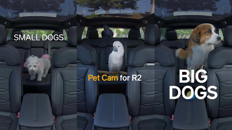 The Rivian R2’s new pet cam lets owners check on their pets from anywhere