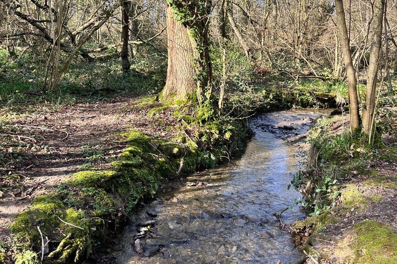 Investigation launched into pollution of Leicestershire river in ...