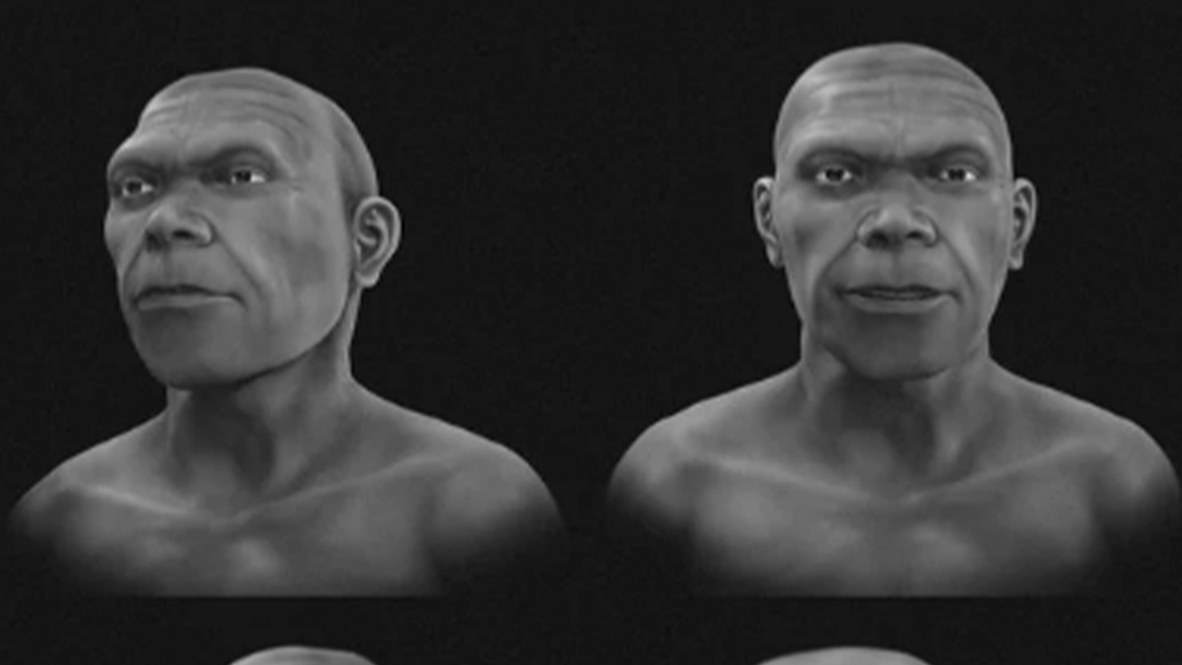 3D reconstruction reveals what humans may have looked like 315,000 ...