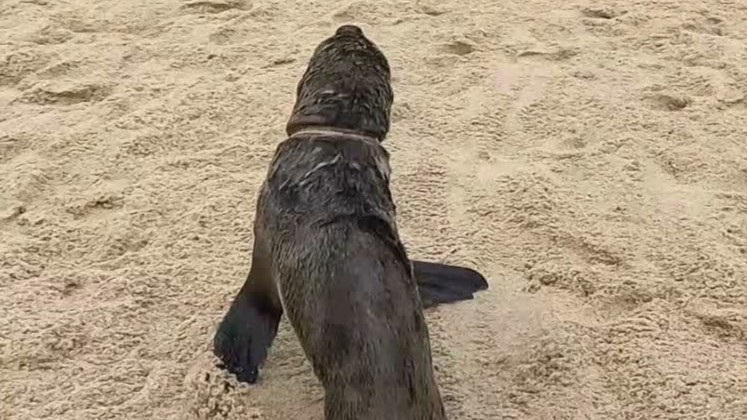 One tiny piece of fishing line became a death trap around his body