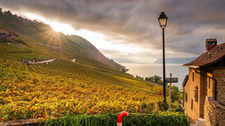The Lavaux Vineyard Terraces are magnificent all year round, but they come alive with colour during the autumn months — © Shutterstock/Sean Pavone