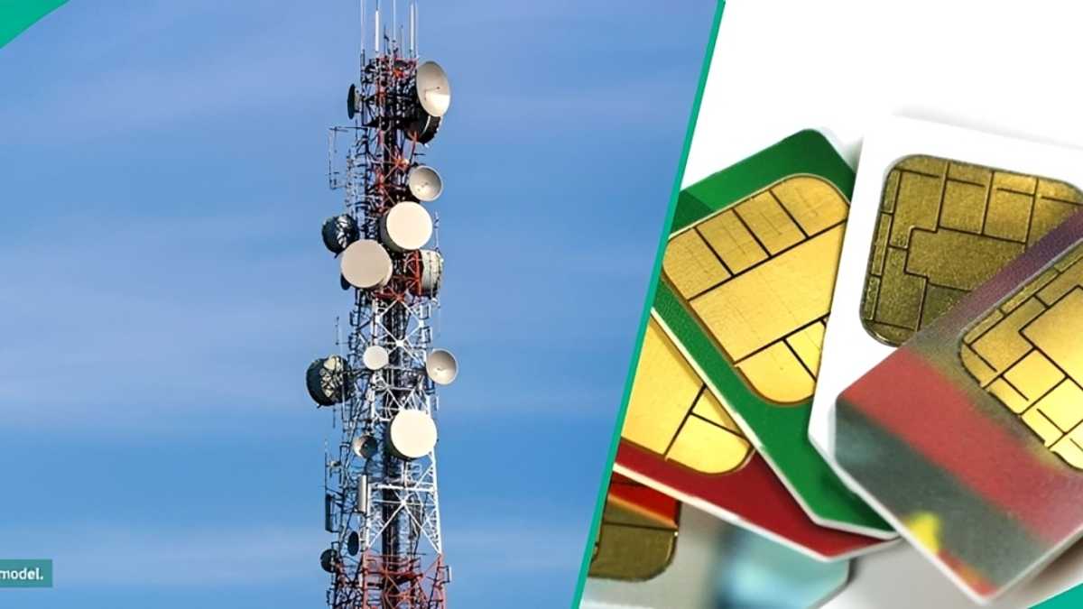 Find out more as another telecom company begins operation nationwide