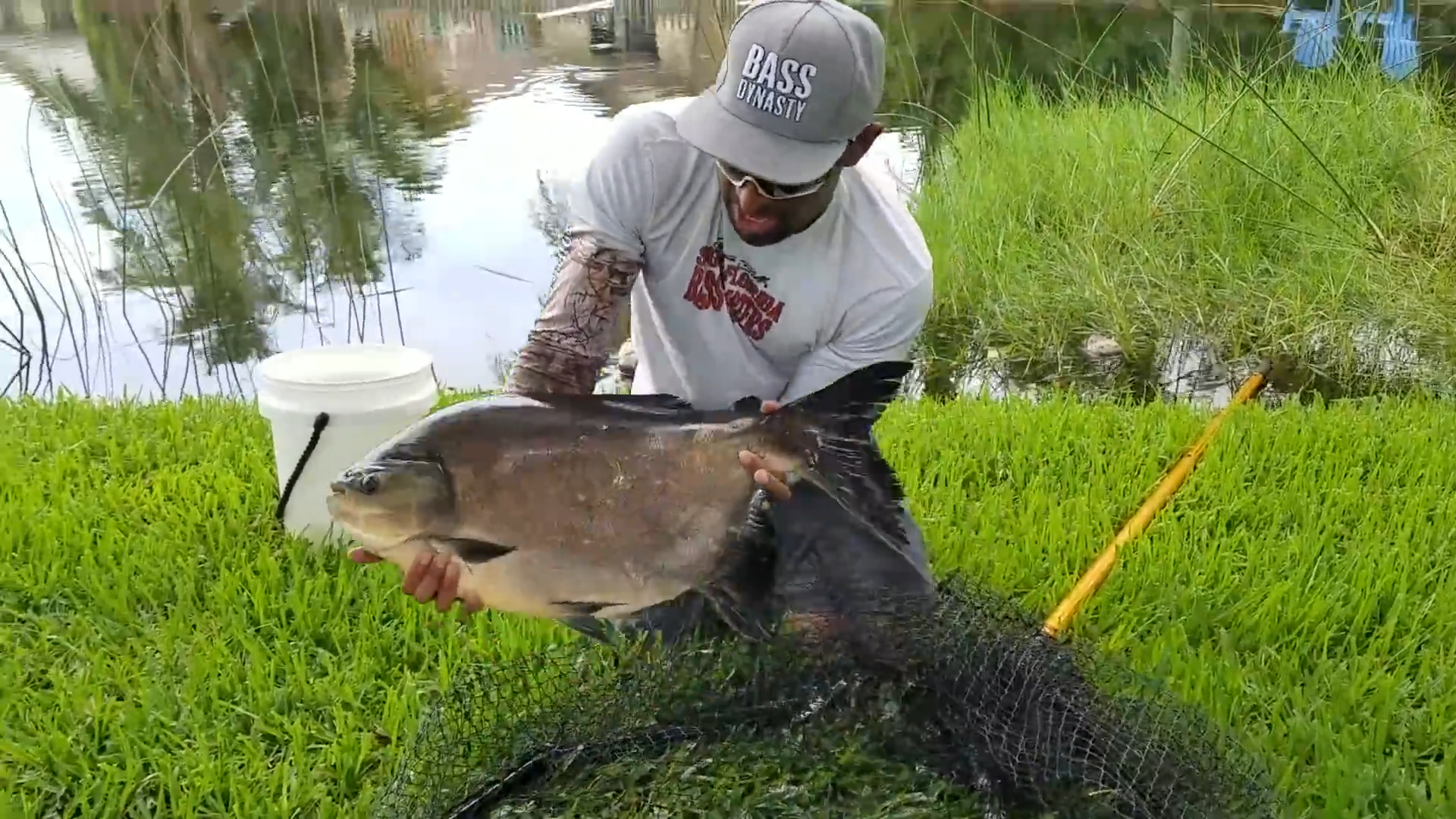 They think it’s just a fish... but everyone in Florida should fear this ...