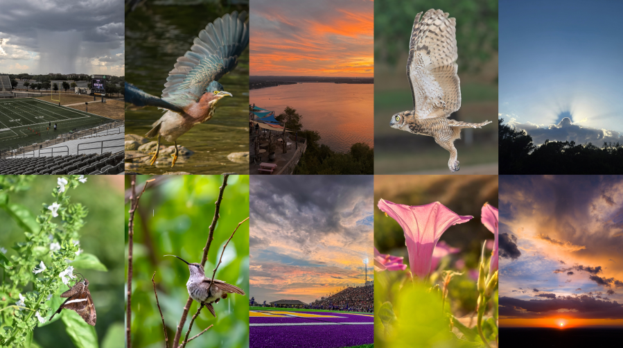 Photo of the month poll: Vote for the best viewer photo of September