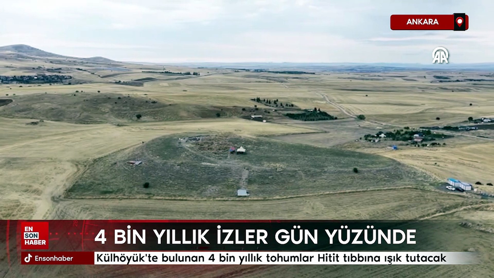 Külhöyük'te bulunan 4 bin yıllık tohum Hitit tıbbına ışık tutacak