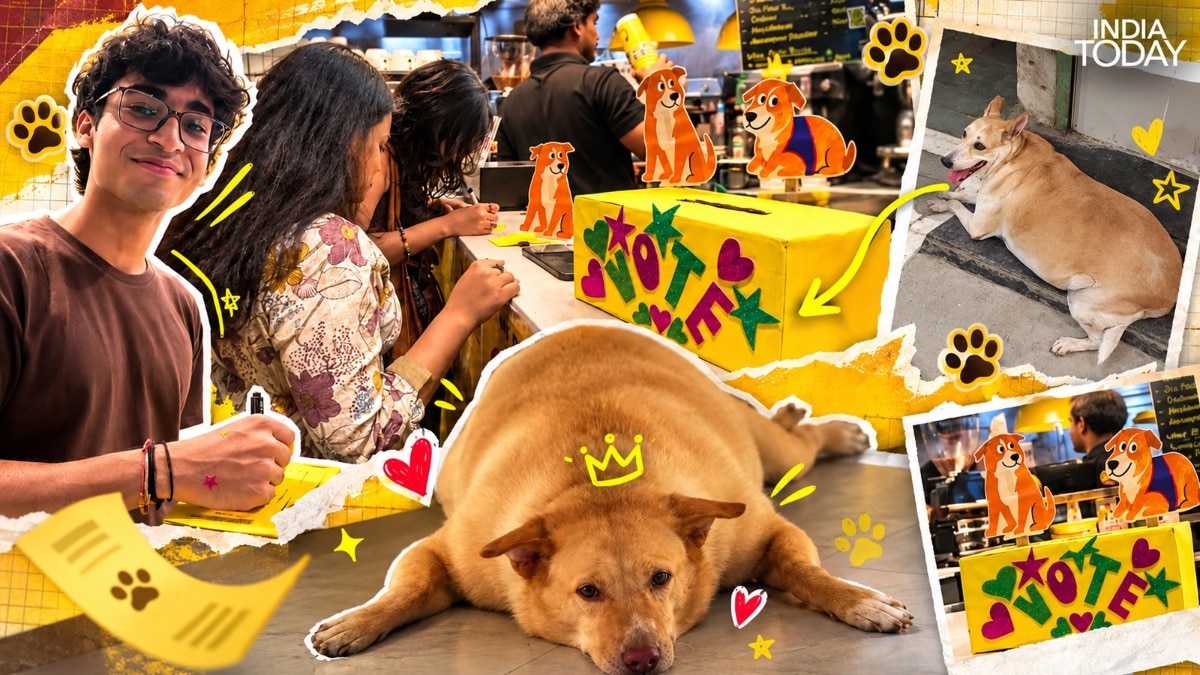 Delhi turned up to vote for Fat Dogs IRL. Here's what we saw at a ...