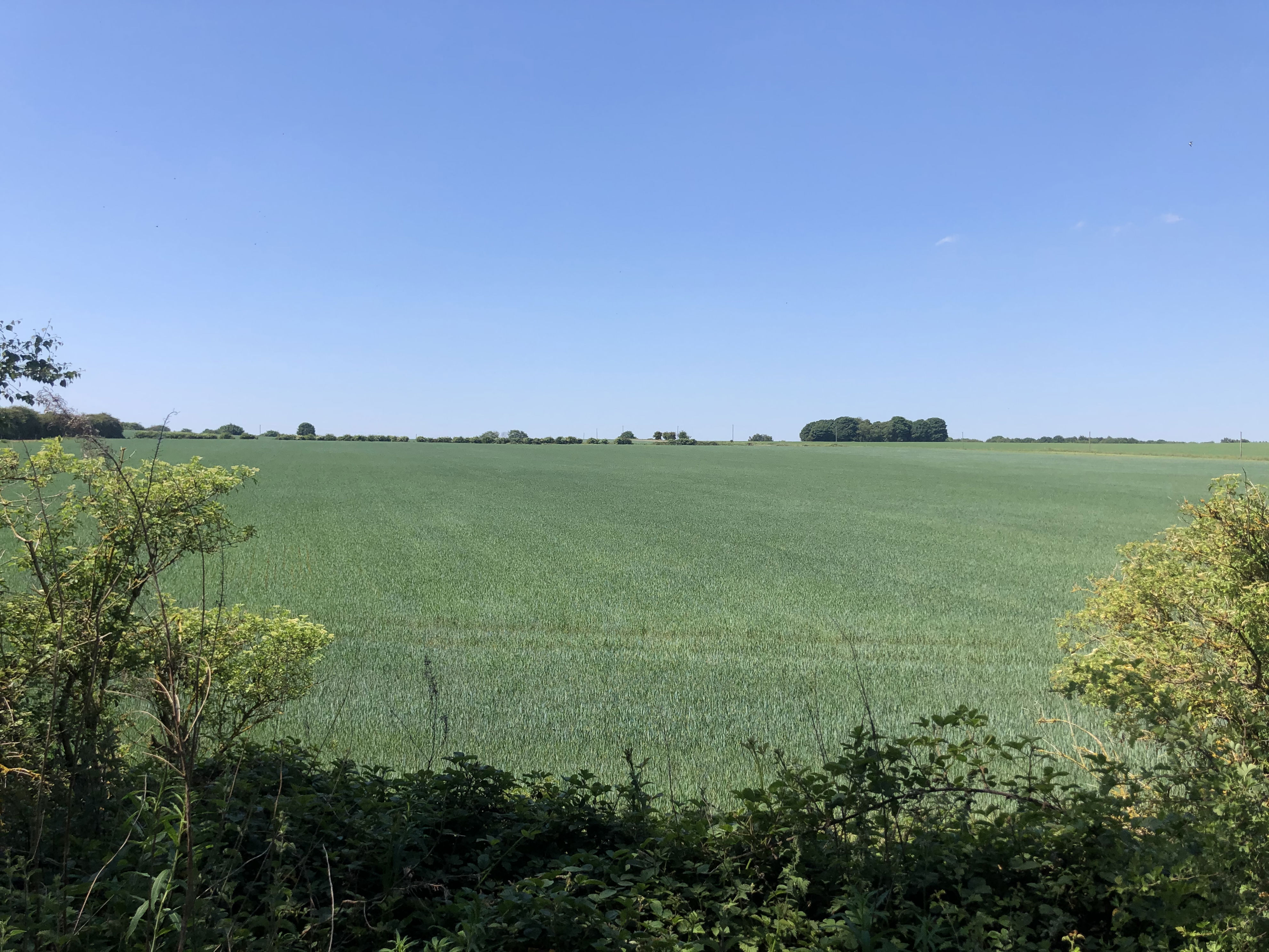 Warning over housing bids on unallocated land as Rotherham draws up £2 ...