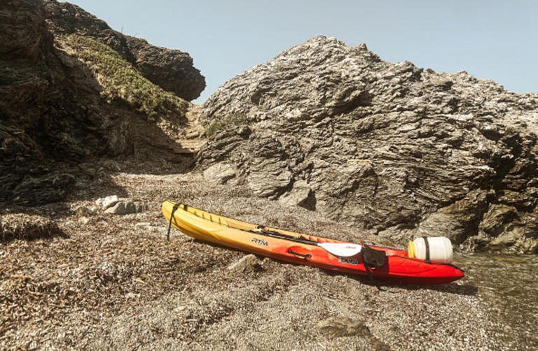 Israeli man, 26, drowns in Norway after falling from boat, Foreign ...