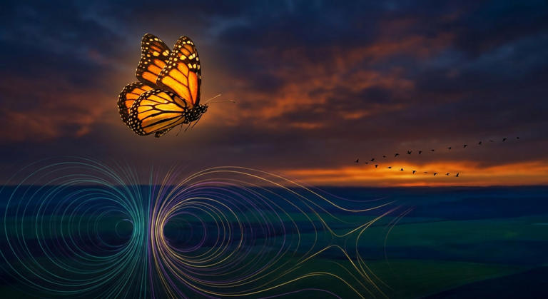 Unraveling animal navigation: birds, whales, insects' invisi