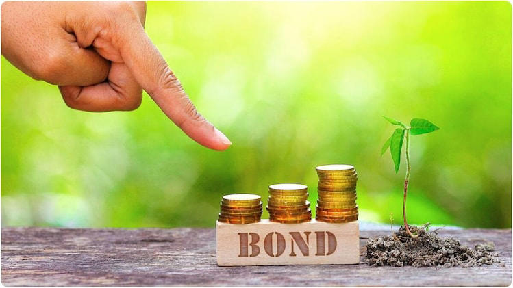 Fixed income outlook: Why fund managers see opportunity in Indian bonds ...