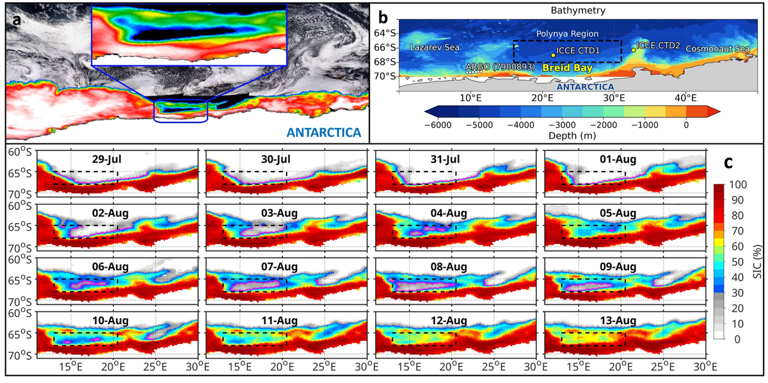 A vast hole almost the size of Portugal opened up in Antarctica's ...