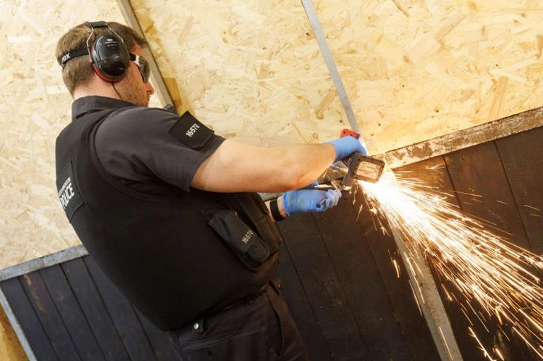 Seven arrested and three cannabis farms smashed after police raids ...