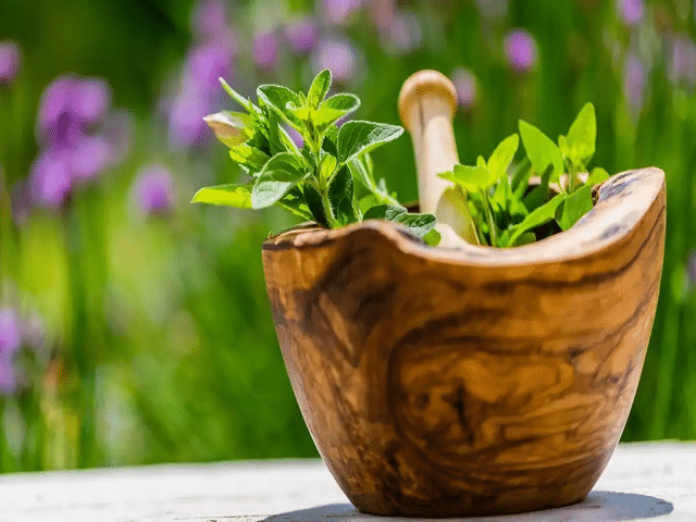 Ashwagandha every day: Is long-term use safe? What a 24-week study found