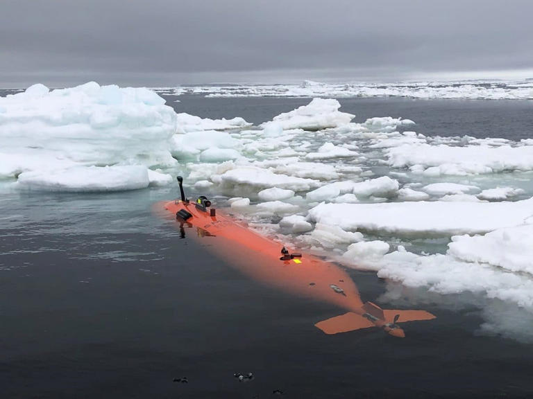 Submarine vanishes beneath Antarctic ice after uncovering alien-looking ...