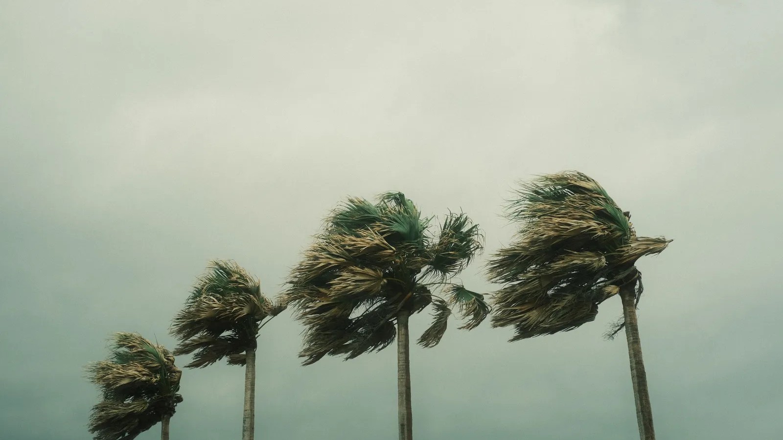 4 key differences between a hurricane, typhoon, and cyclone