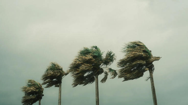 4 key differences between a hurricane, typhoon, and cyclone