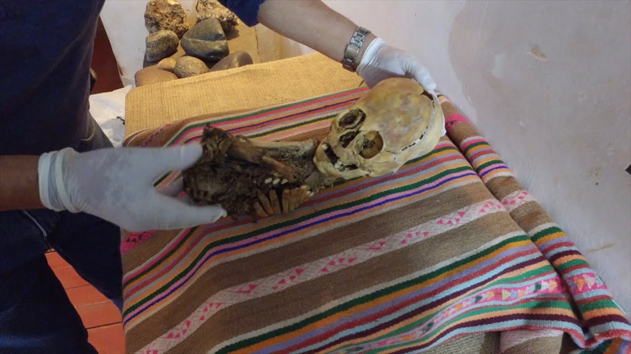Inside the examination of an ancient Peruvian elongated skull mummy