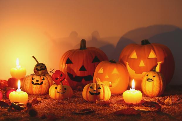 10 October events in Wrexham and Flintshire worth adding to your diary