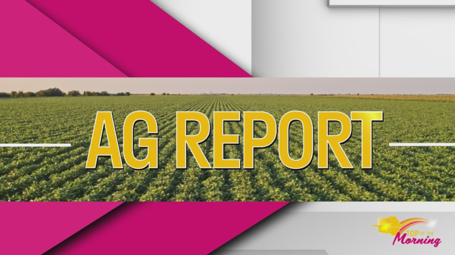 AG report: Pond weeds with K-State Extension