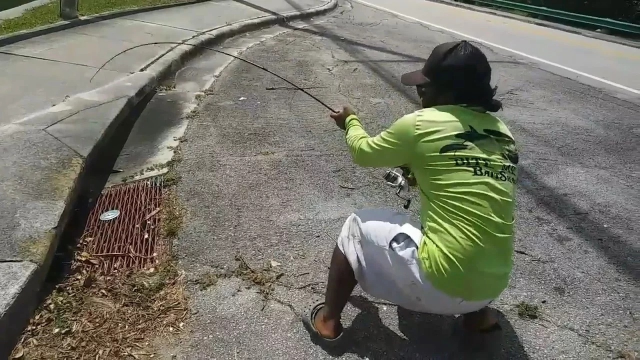 He dropped bait into a Miami storm drain... then a huge fish took it