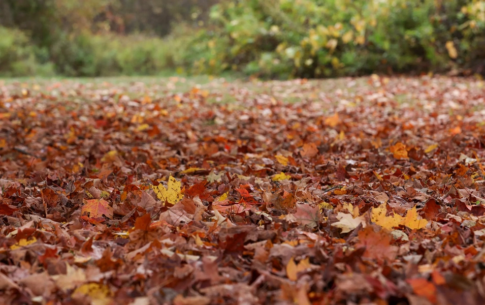 Fall in love with Northern Virginia outdoors