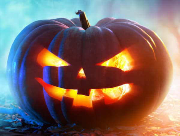 Halloween safety drive: Citrus County pairs free car seats with trunk ...
