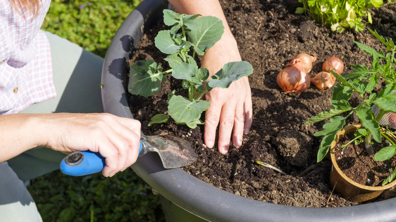 Say goodbye to traditional planters – Amazon has a game-changing ...