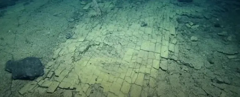 A research crew exploring 3,000 meters under the Pacific spotted what ...