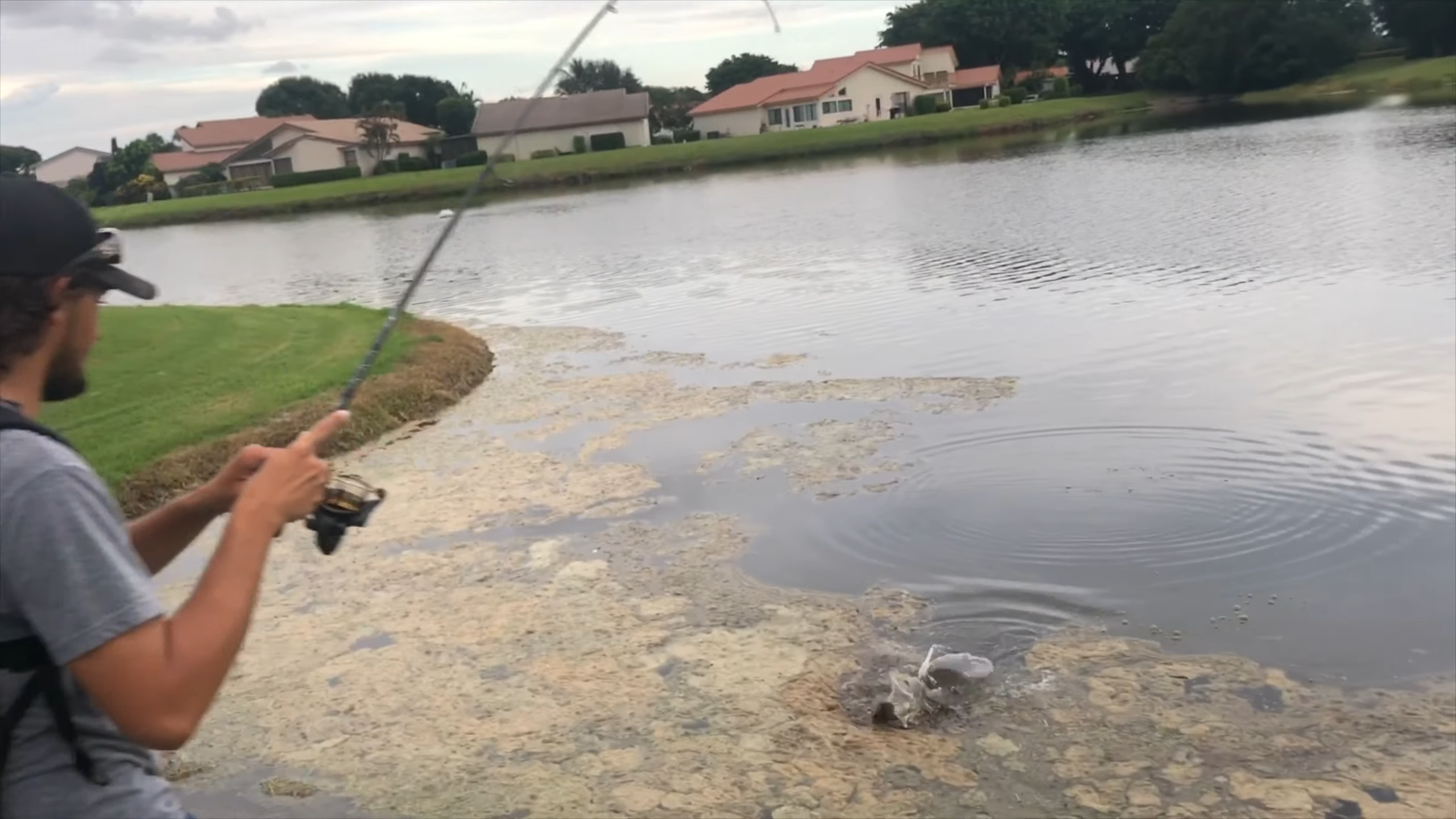An alien-looking fish began attacking beside the pipe... "This thing ...