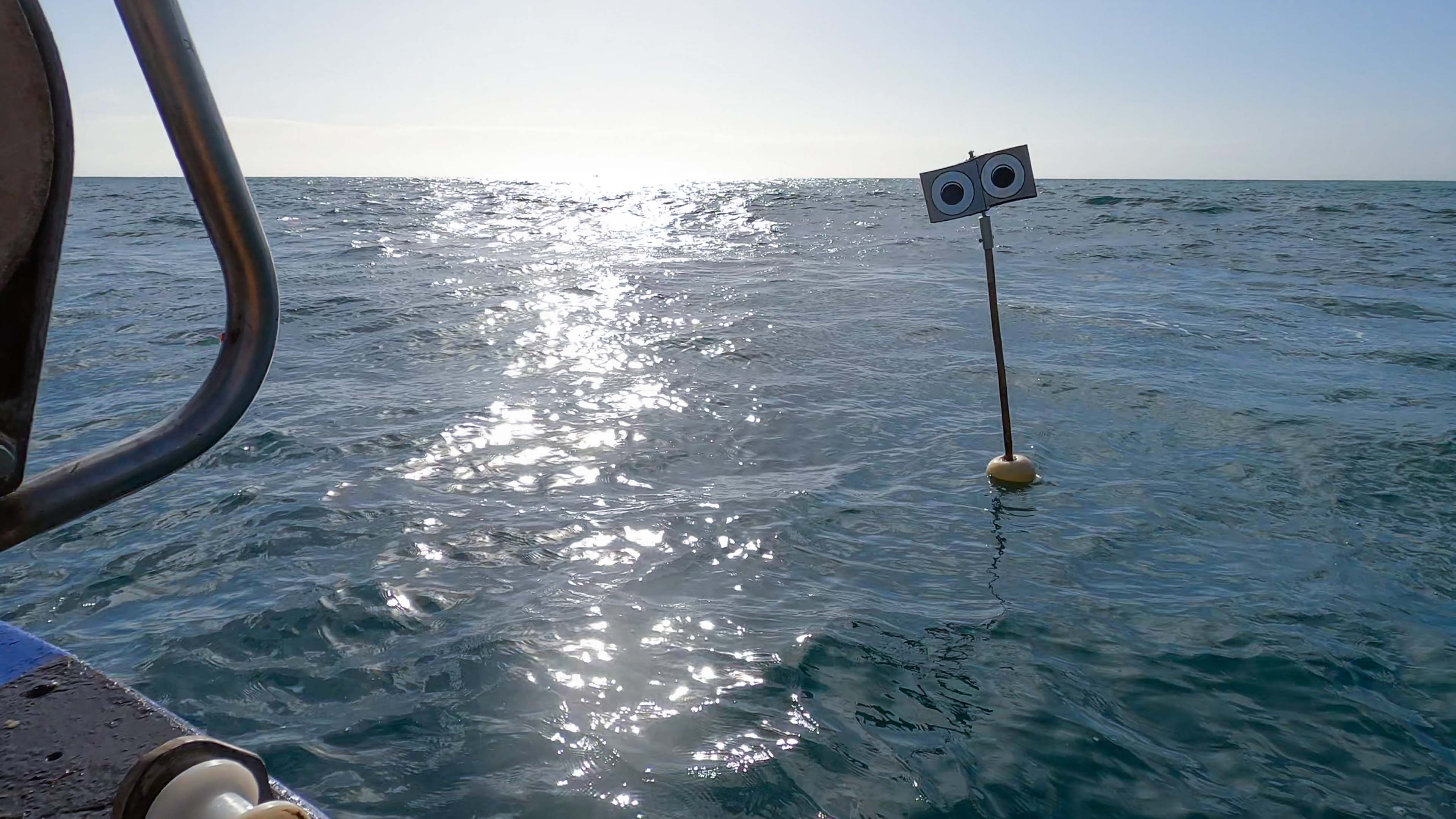 Cornish fishermen use new floating scarecrow to save sea birds from ...