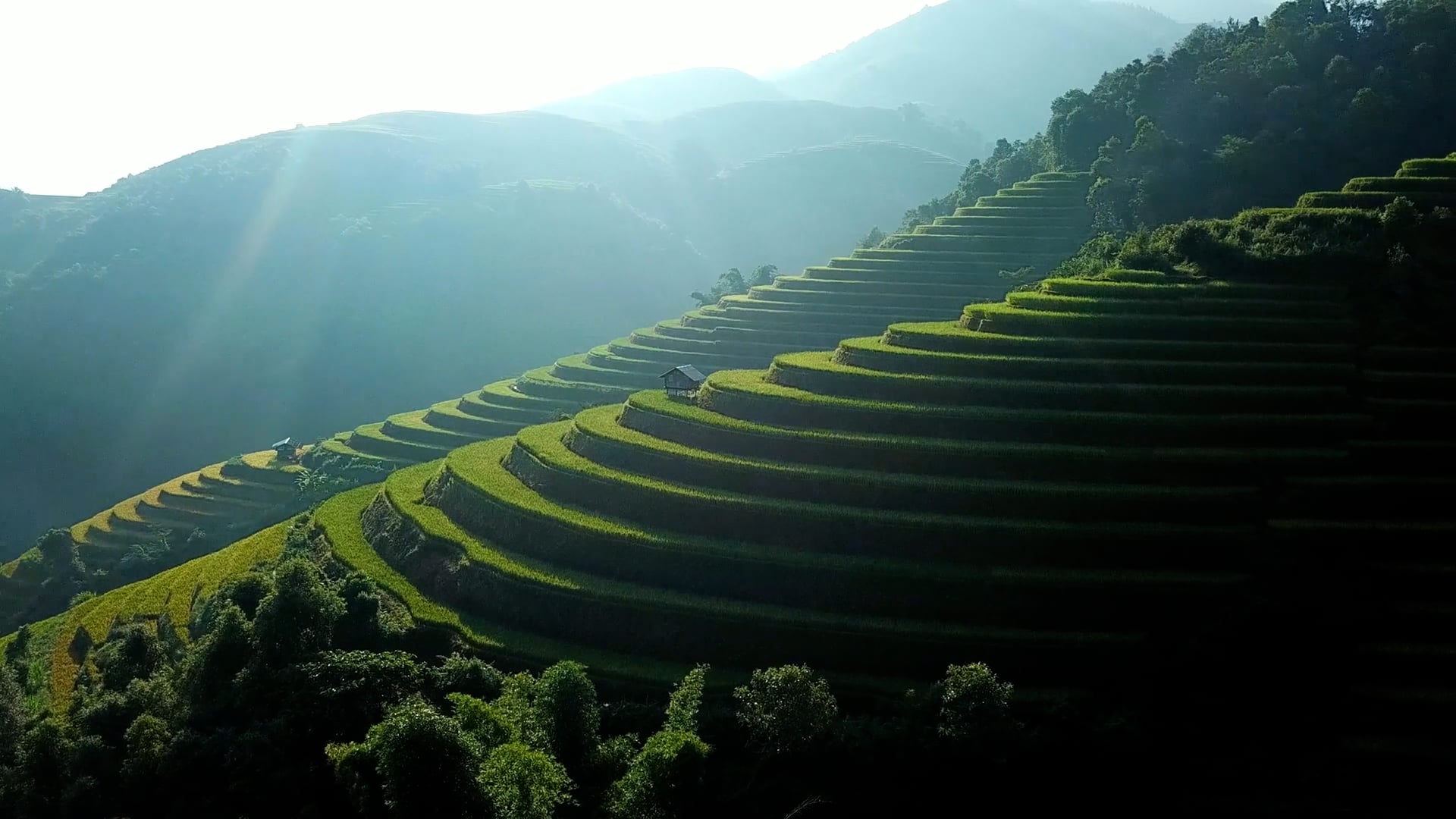 Stunning drone views of Southeast Asia’s scenic rice fields