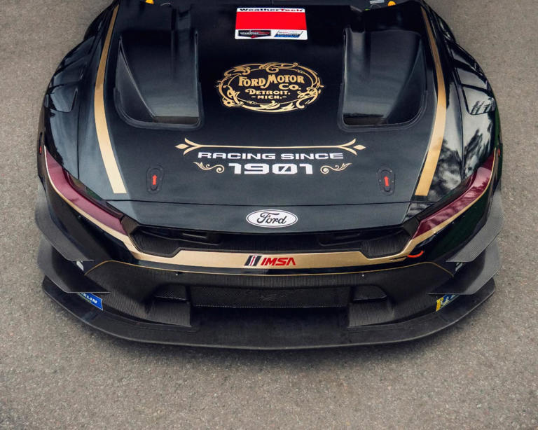 Ford Racing is two years older than Ford, and this Mustang GT3 proves it