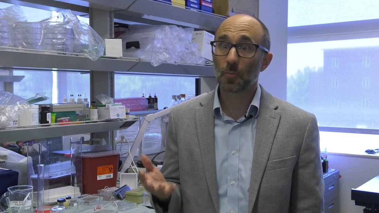 New research: Using core muscles could regulate blood to the brain